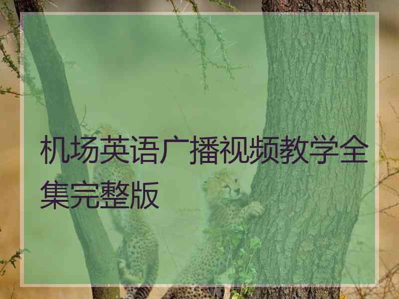 机场英语广播视频教学全集完整版