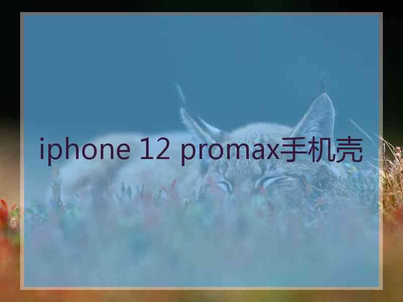 iphone 12 promax手机壳