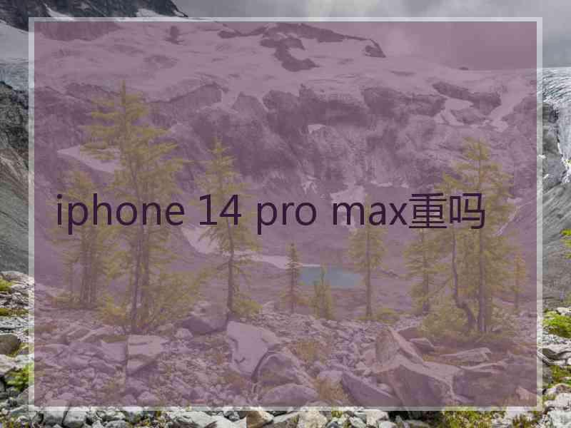 iphone 14 pro max重吗