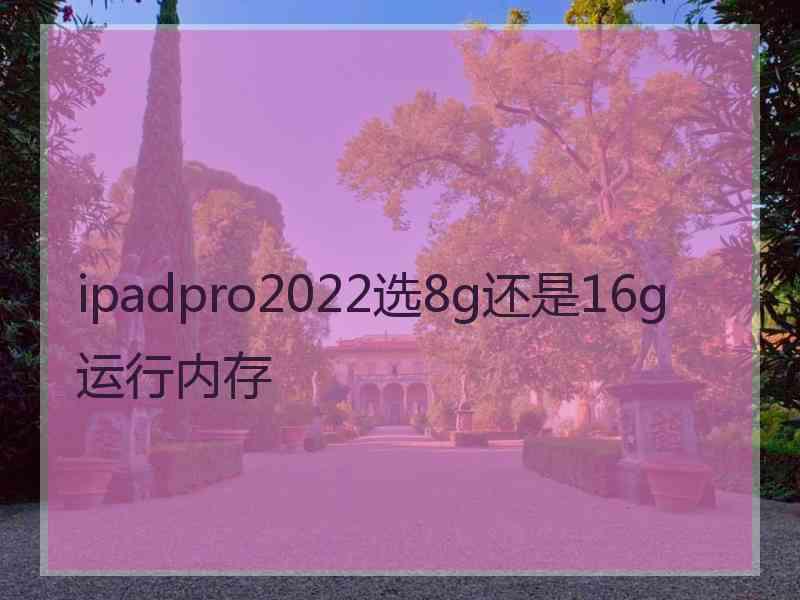 ipadpro2022选8g还是16g运行内存