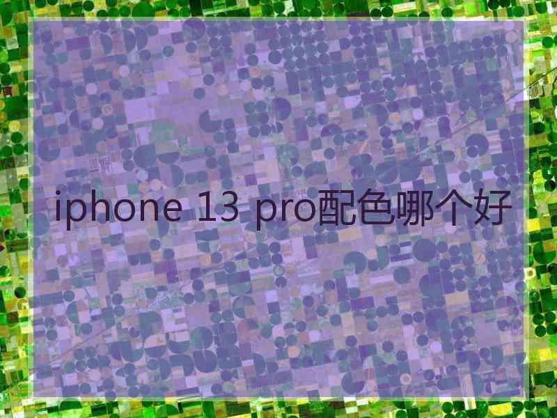 iphone 13 pro配色哪个好