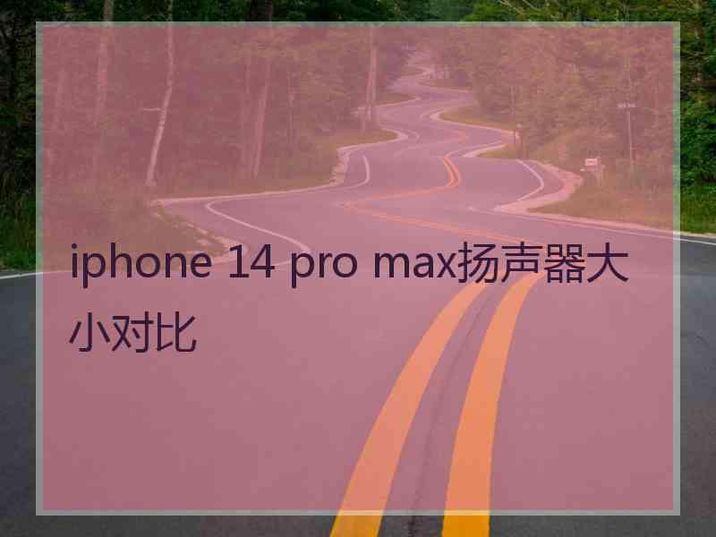 iphone 14 pro max扬声器大小对比