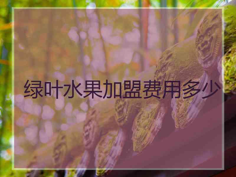 绿叶水果加盟费用多少