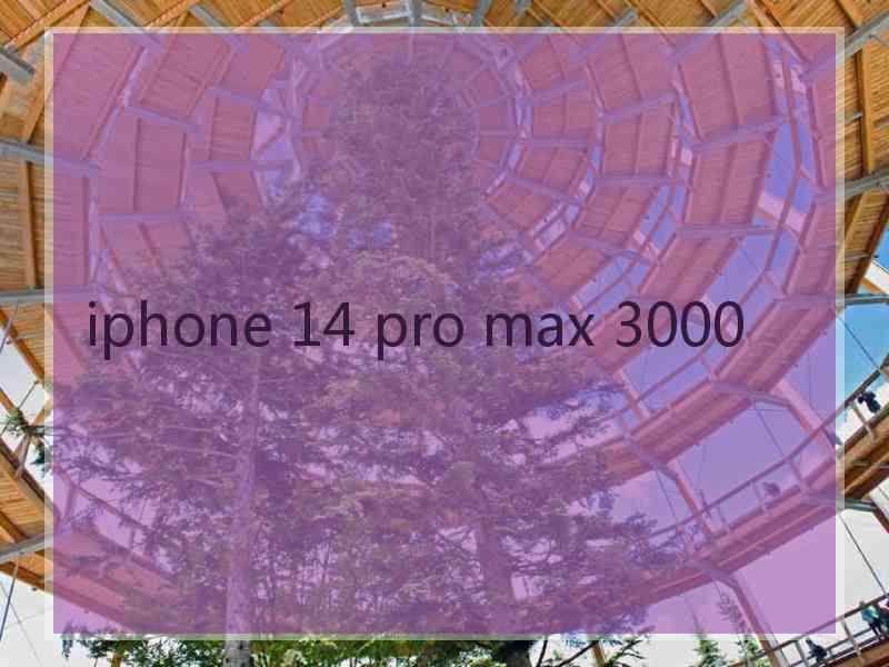 iphone 14 pro max 3000