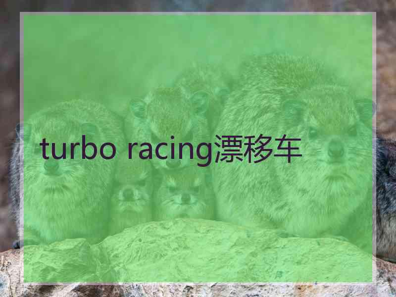 turbo racing漂移车