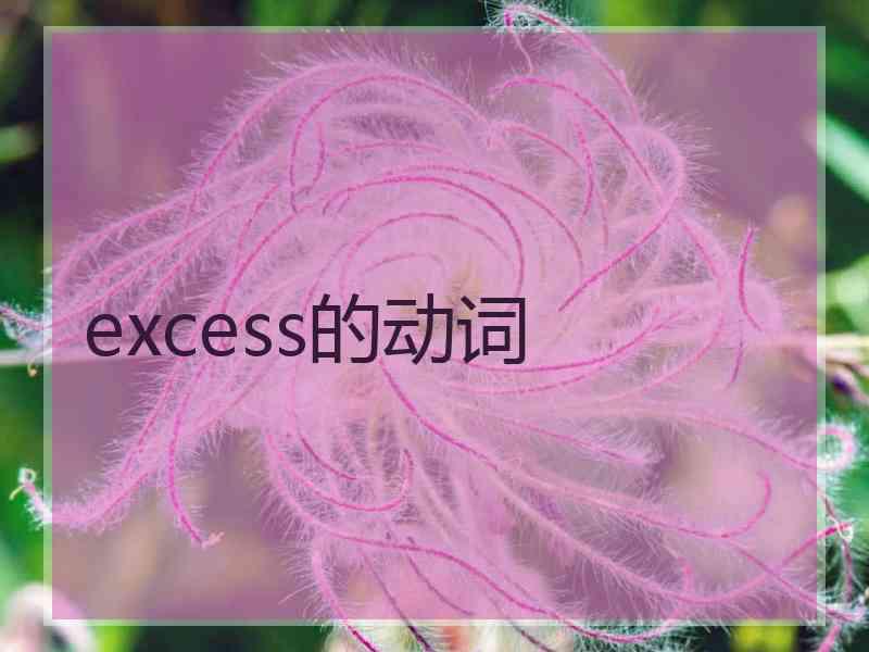 excess的动词