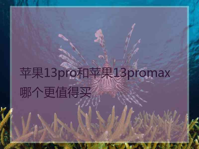 苹果13pro和苹果13promax哪个更值得买