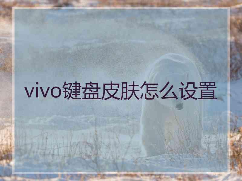 vivo键盘皮肤怎么设置