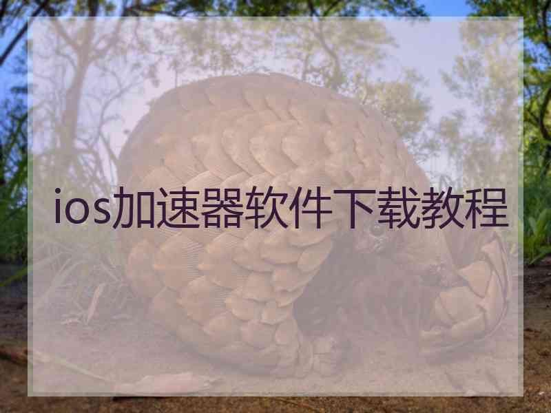 ios加速器软件下载教程