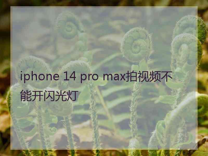 iphone 14 pro max拍视频不能开闪光灯