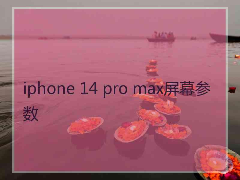 iphone 14 pro max屏幕参数