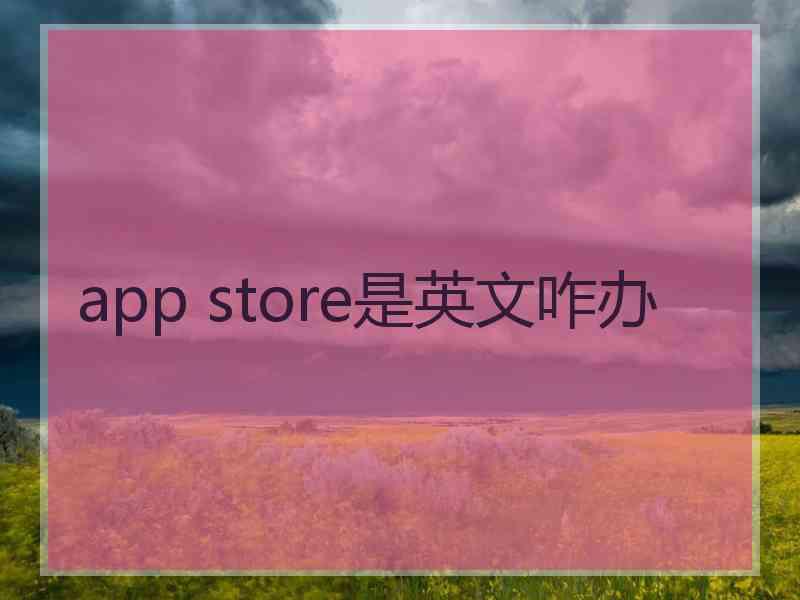 app store是英文咋办