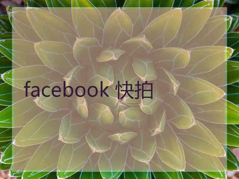 facebook 快拍