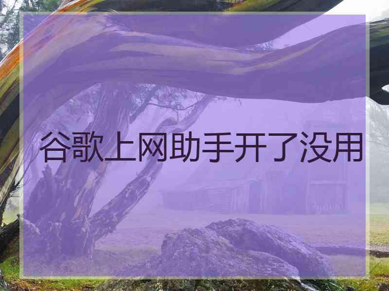 谷歌上网助手开了没用