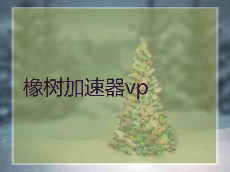 橡树加速器vp