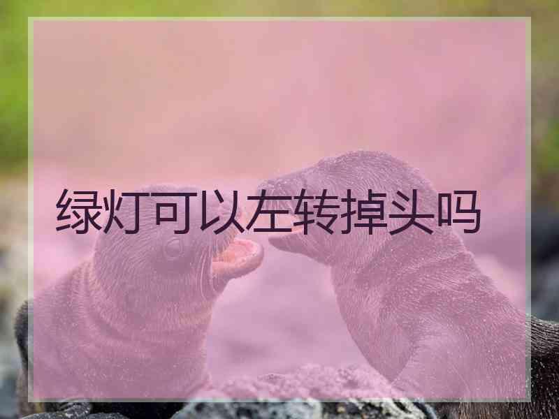 绿灯可以左转掉头吗