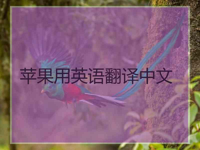 苹果用英语翻译中文