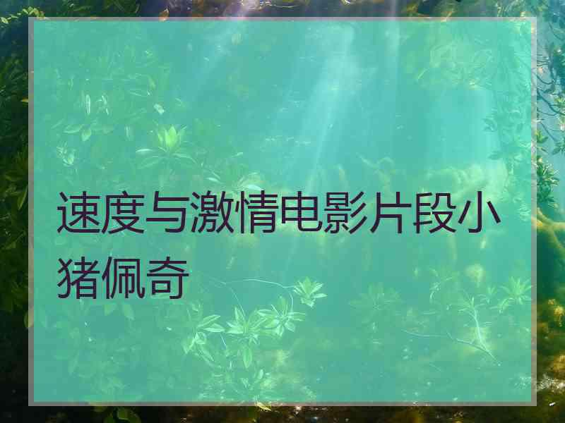 速度与激情电影片段小猪佩奇