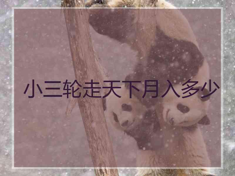 小三轮走天下月入多少