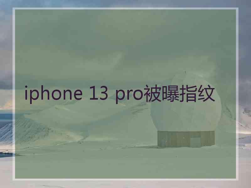 iphone 13 pro被曝指纹