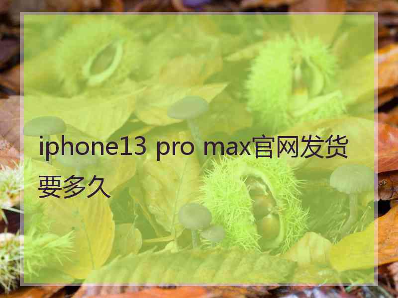 iphone13 pro max官网发货要多久