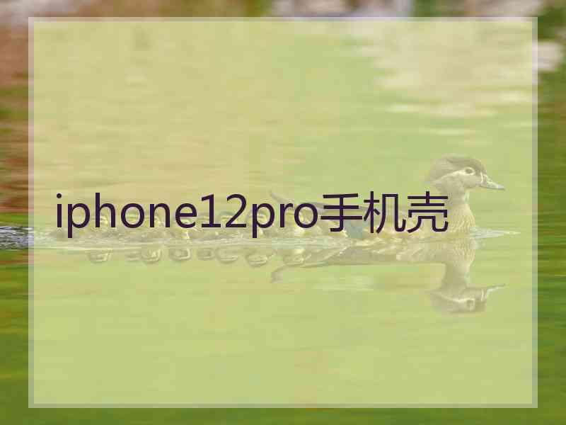 iphone12pro手机壳