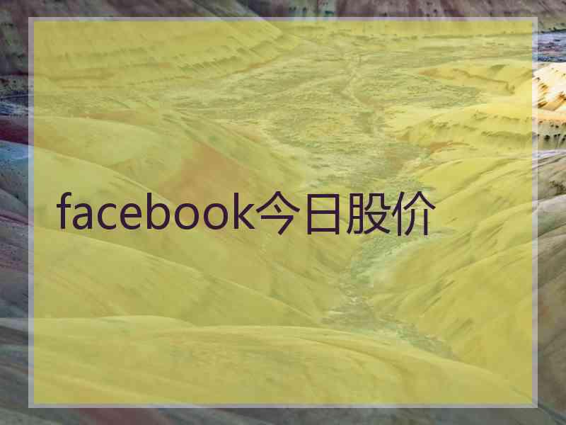 facebook今日股价