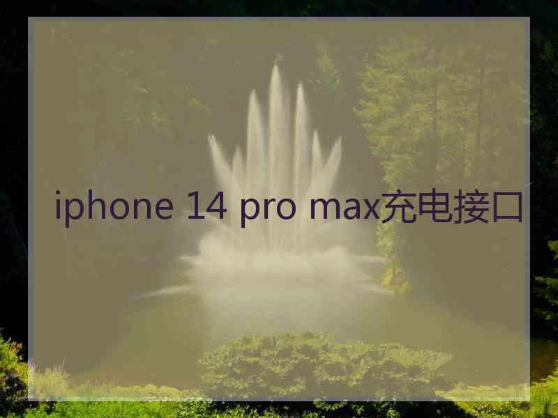 iphone 14 pro max充电接口