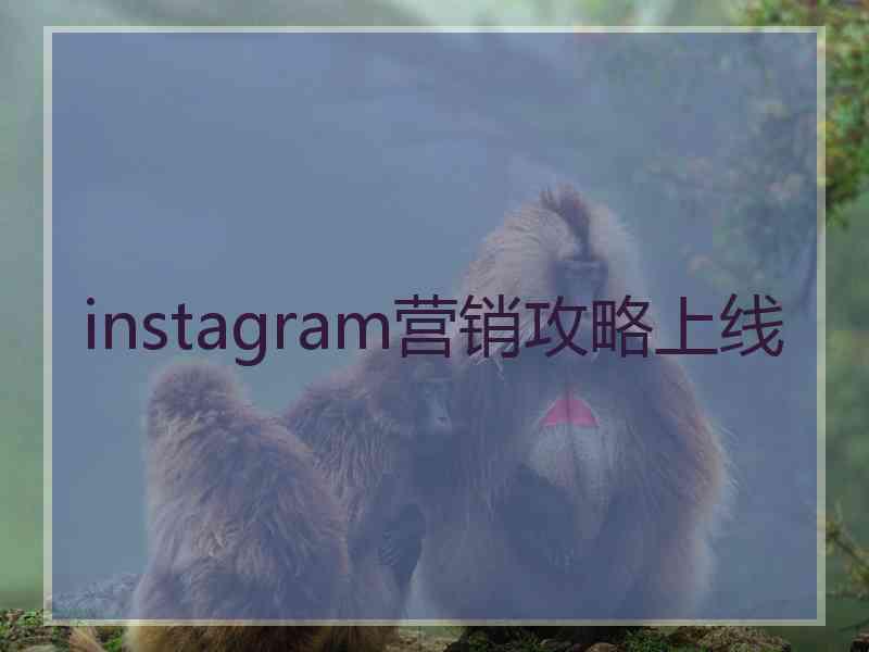 instagram营销攻略上线