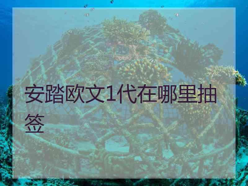 安踏欧文1代在哪里抽签