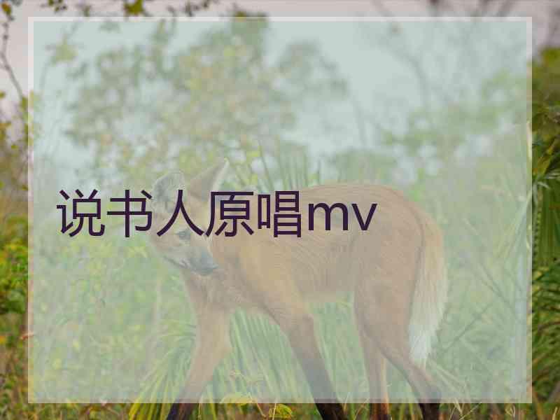 说书人原唱mv