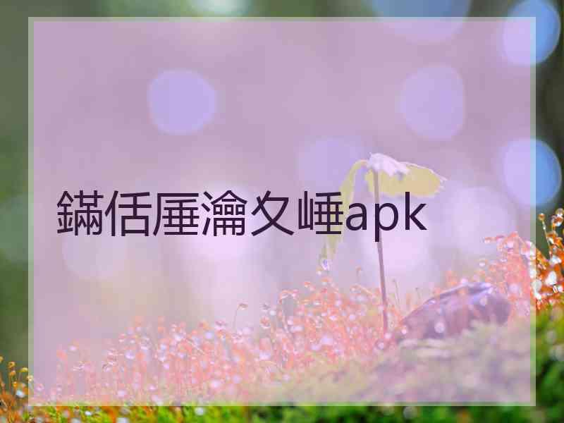 鏋佸厜瀹夊崜apk