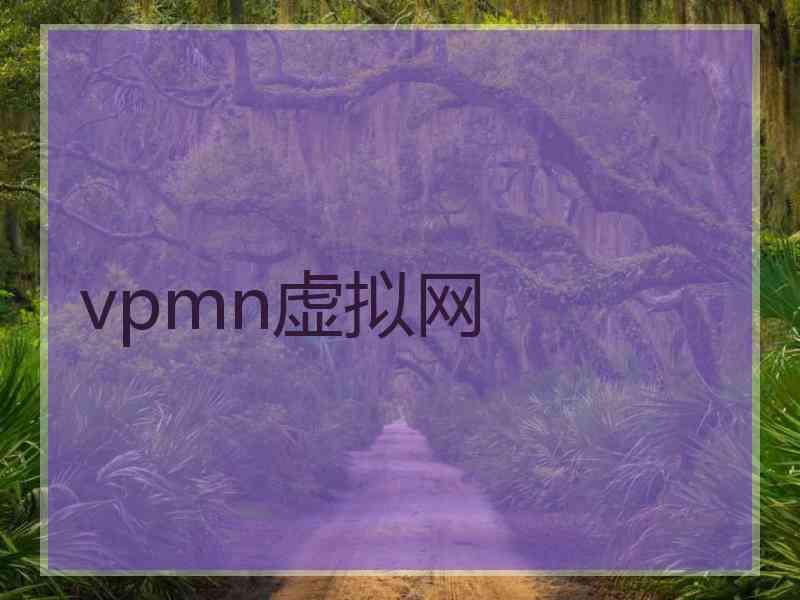 vpmn虚拟网