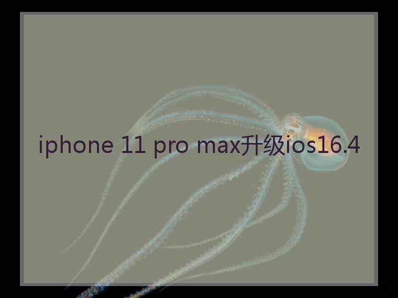 iphone 11 pro max升级ios16.4