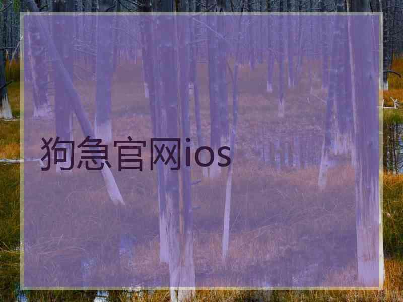 狗急官网ios