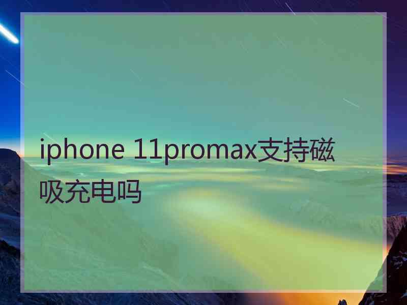 iphone 11promax支持磁吸充电吗