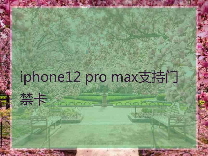 iphone12 pro max支持门禁卡