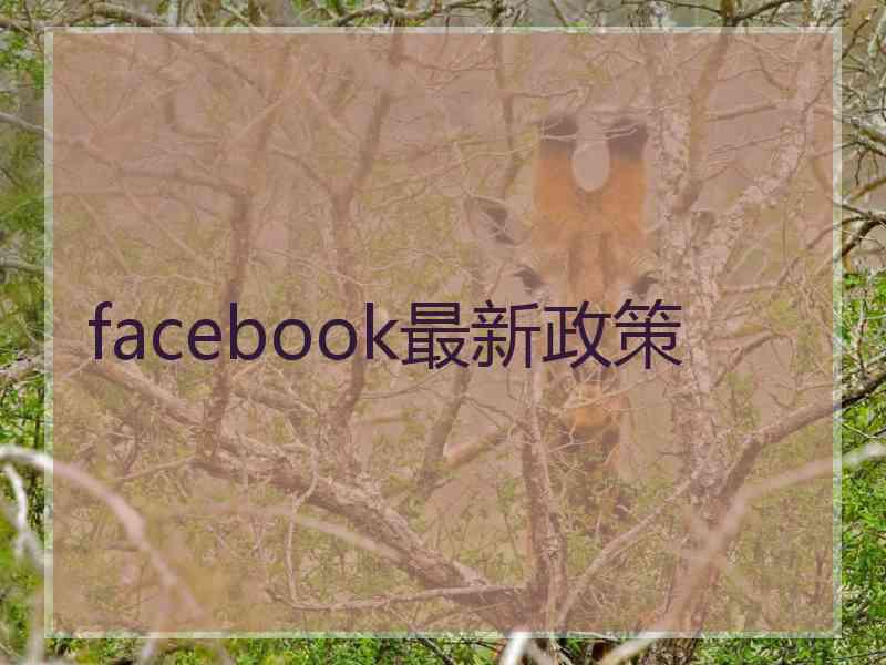 facebook最新政策