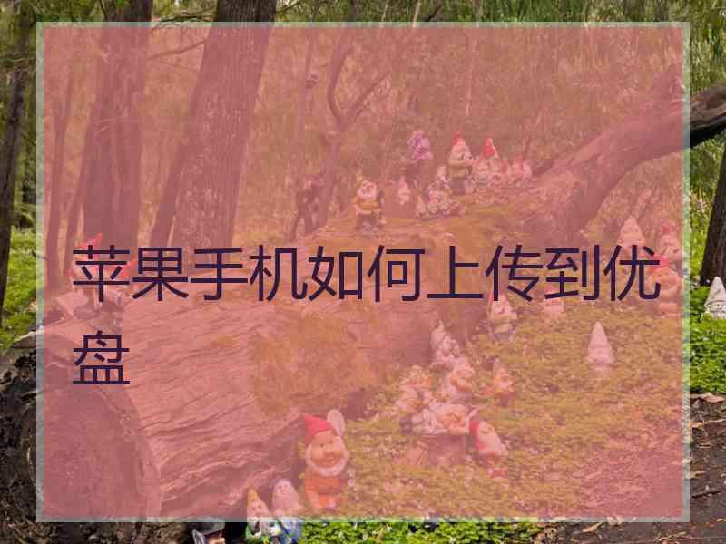 苹果手机如何上传到优盘