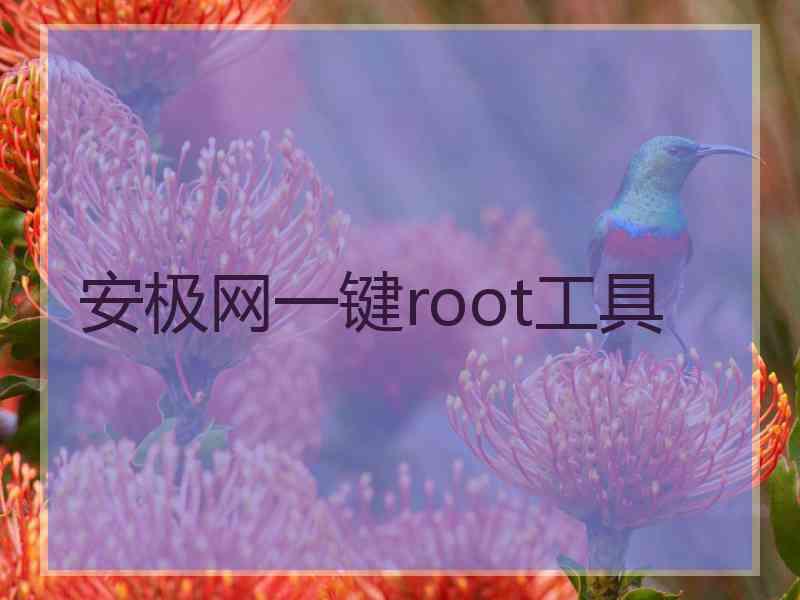 安极网一键root工具