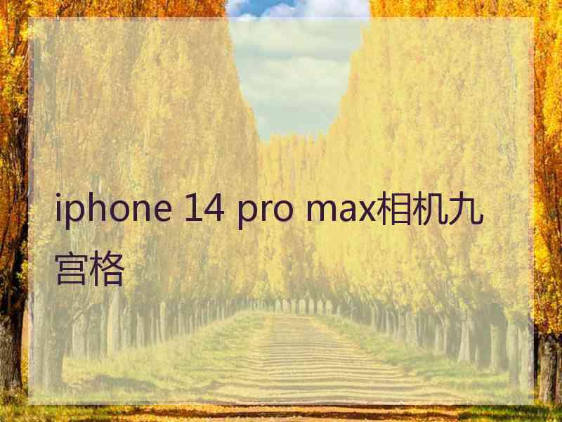 iphone 14 pro max相机九宫格