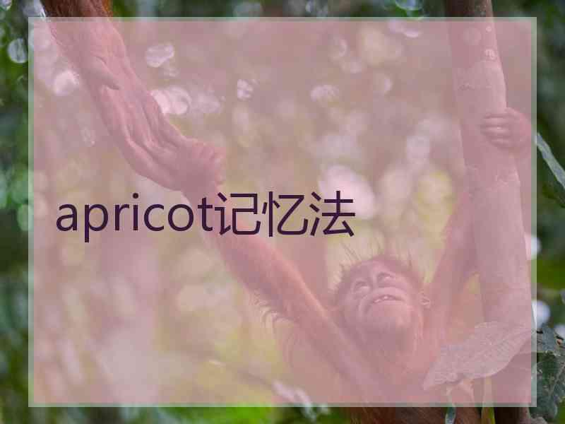 apricot记忆法