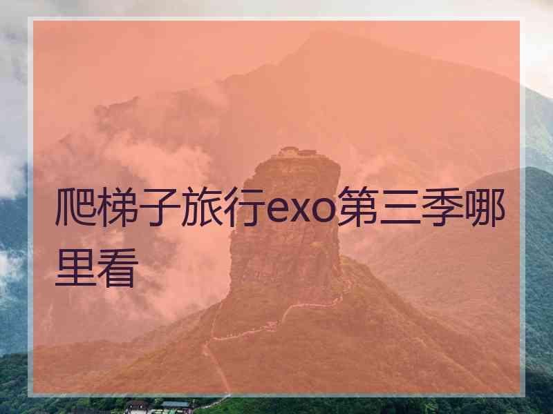 爬梯子旅行exo第三季哪里看