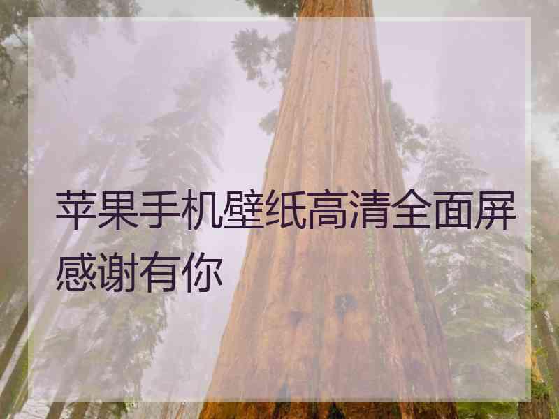 苹果手机壁纸高清全面屏感谢有你