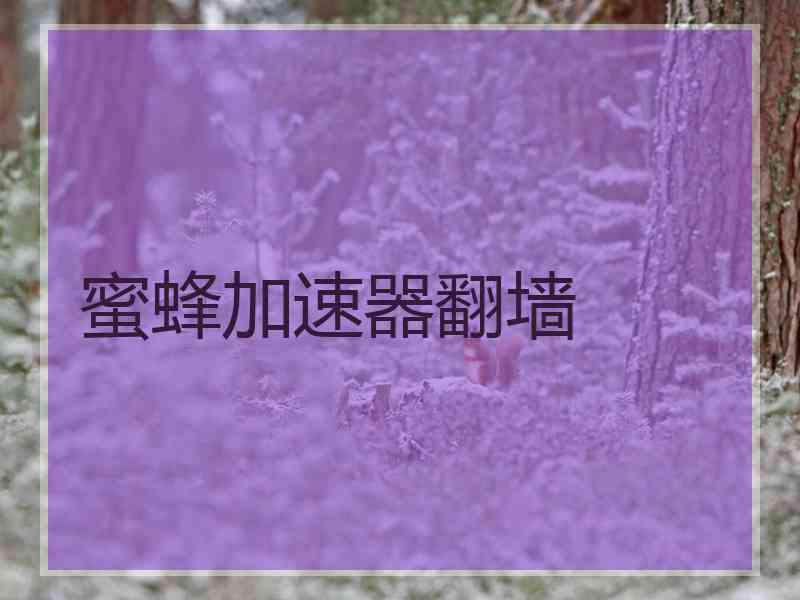 蜜蜂加速器翻墙