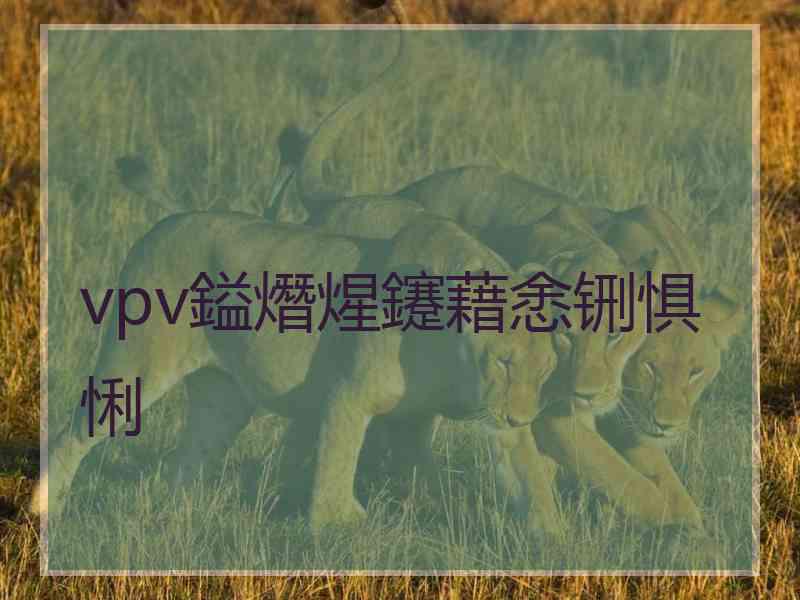 vpv鎰熸煋鑳藉悆铏惧悧