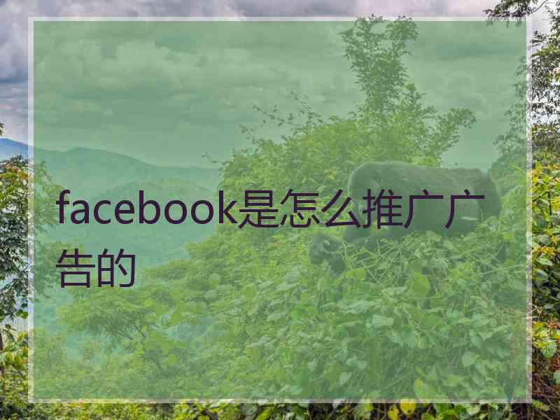 facebook是怎么推广广告的