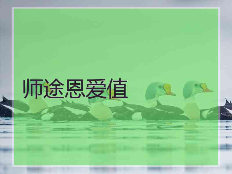 师途恩爱值