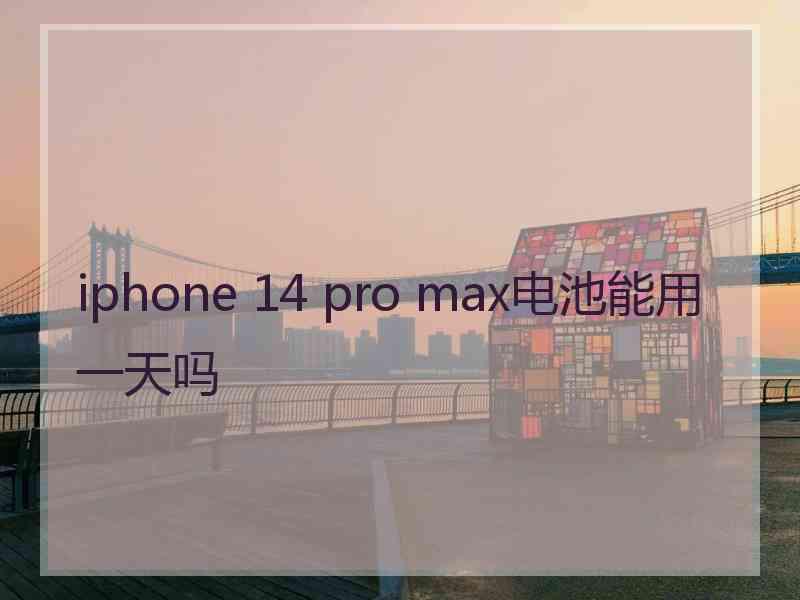 iphone 14 pro max电池能用一天吗