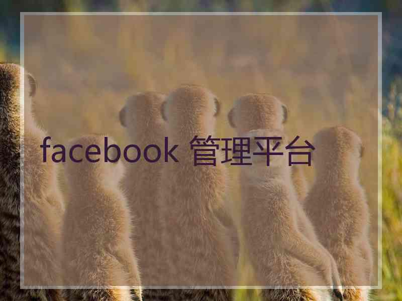 facebook 管理平台